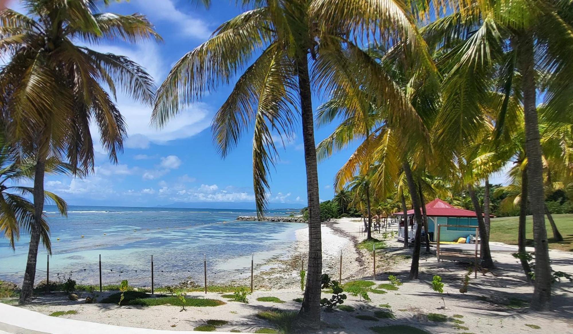 Studios Angoreva Vue Mer - Cote Plage Ou Jardin - Village Vacances - Sainte-Anne Guadeloupe Courcelles Extérieur photo