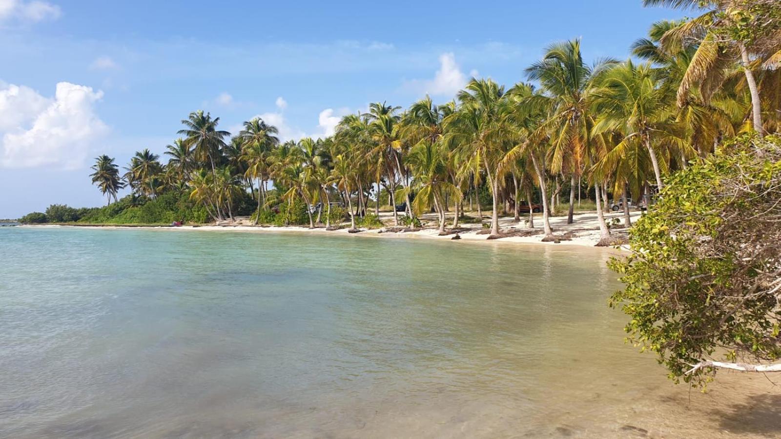 Studios Angoreva Vue Mer - Cote Plage Ou Jardin - Village Vacances - Sainte-Anne Guadeloupe Courcelles Extérieur photo