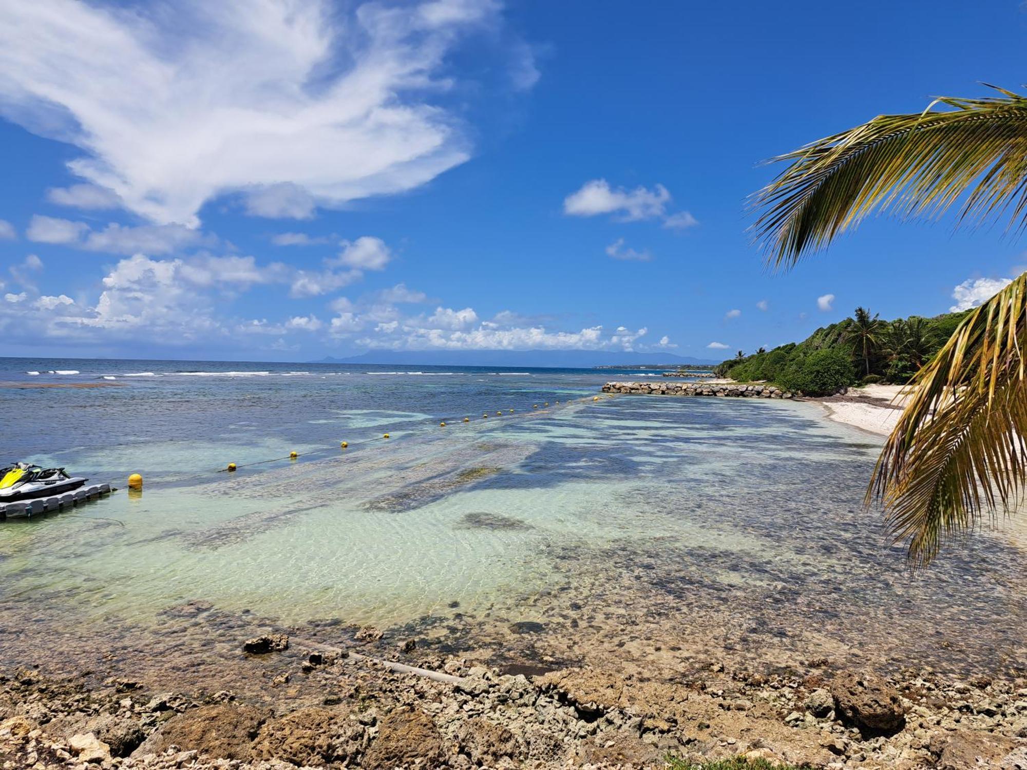 Studios Angoreva Vue Mer - Cote Plage Ou Jardin - Village Vacances - Sainte-Anne Guadeloupe Courcelles Extérieur photo